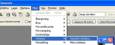 Oskärpa.jpg (58933 bytes)